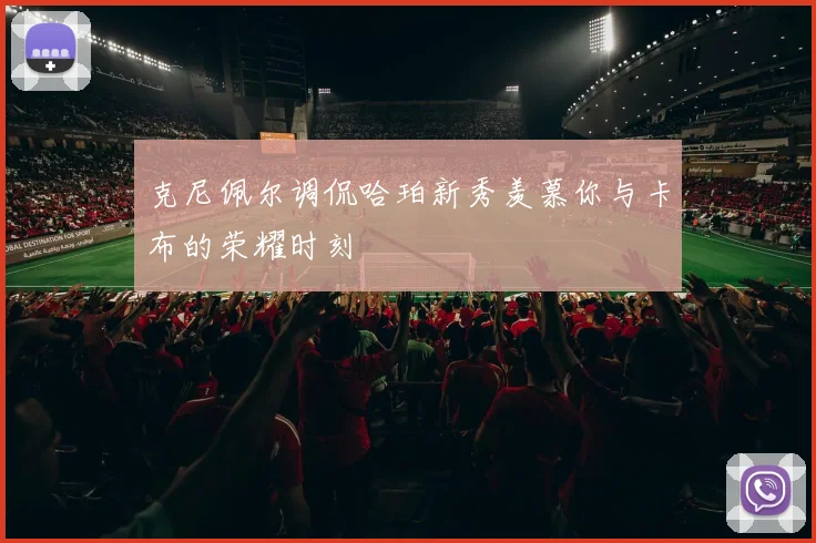 克尼佩尔调侃哈珀新秀羡慕你与卡布的荣耀时刻
