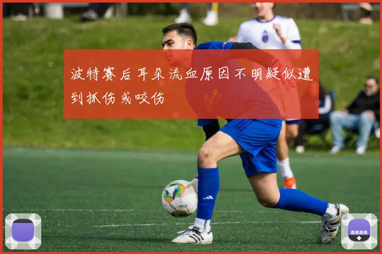 波特赛后耳朵流血原因不明疑似遭到抓伤或咬伤