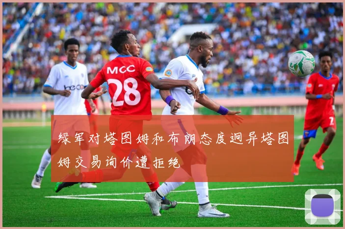 绿军对塔图姆和布朗态度迥异塔图姆交易询价遭拒绝